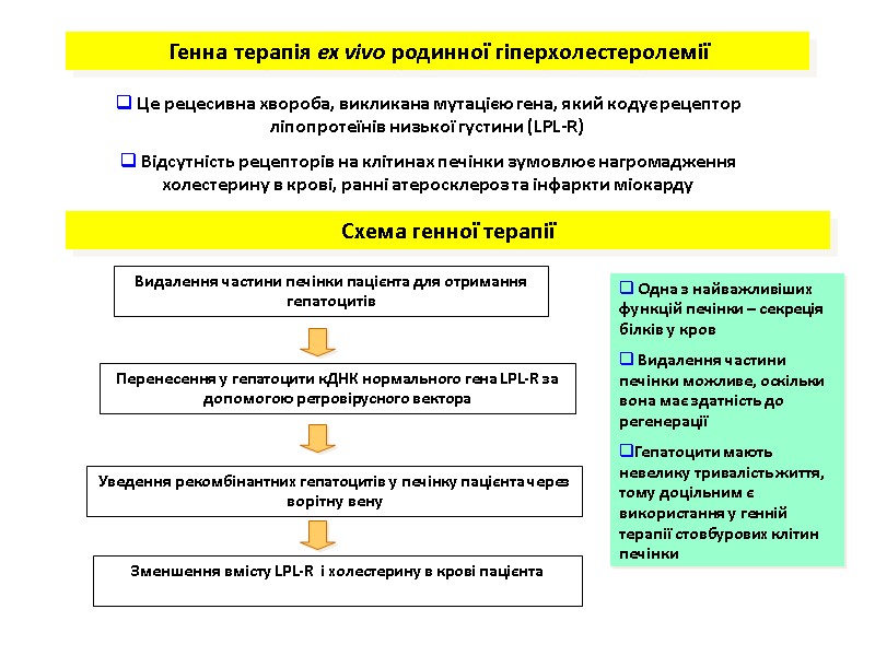 Генна терапія ex vivo родинної гіперхолестеролемії Це рецесивна хвороба, викликана мутацією гена, який Генна терапія ex vivo родинної гіперхолестеролемії Це рецесивна хвороба, викликана мутацією гена, який